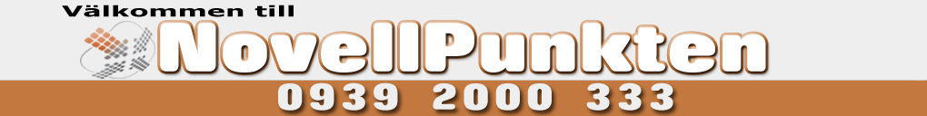 Porrnoveller, Sexnoveller, Erotiska noveller och sexfantasier |  En del av PratPunkten